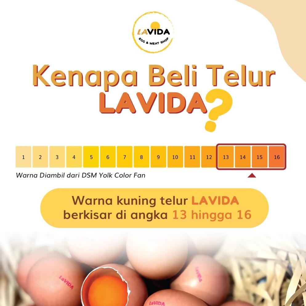

TELUR LAVIDA OMEGA 3 ASLI BUKAN SUNTIKAN- 30 BUTIR/1 TRAY