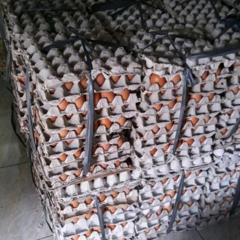 

TELUR AYAM NEGRI CURAH PER KG