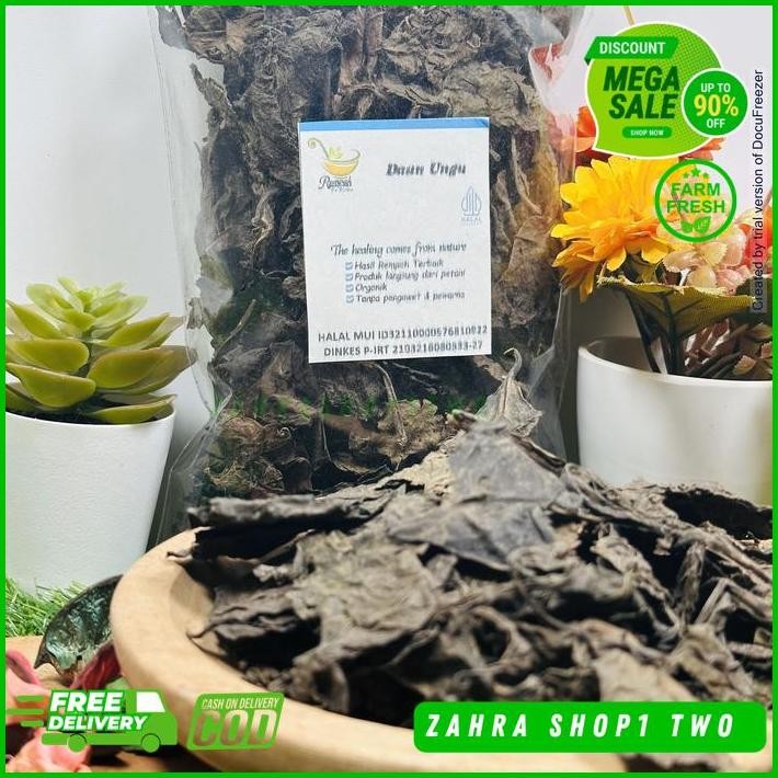 

DAUN UNGU KERING BERAT BERSIH PRODUK 100 GRAM BEST PRODUCT