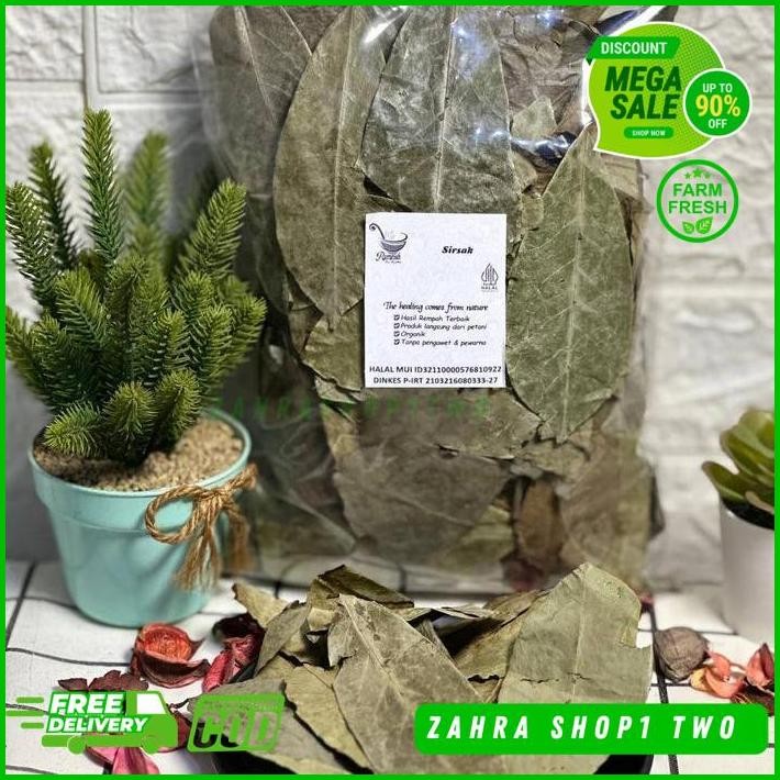 

SIMPLISIA DAUN SIRSAK KERING BERAT PRODUK 100 GRAM GRATIS ONGKIR