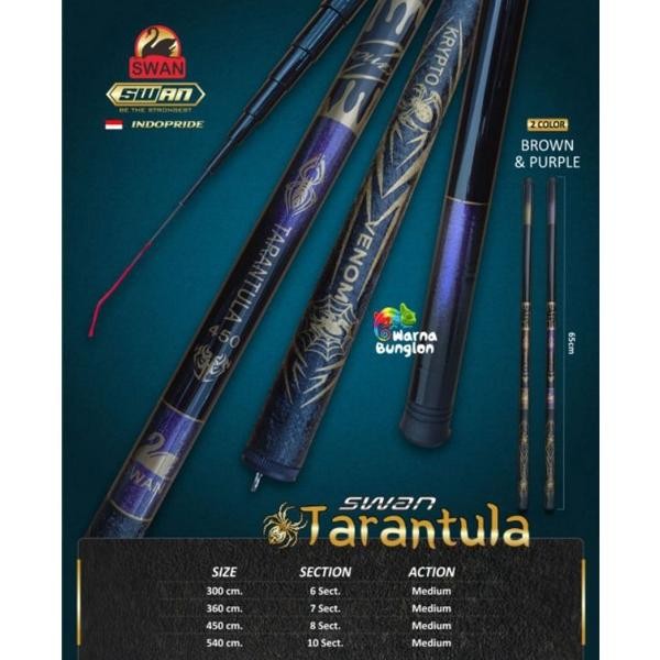 JORAN TEGEK/POLE TARANTULA 300