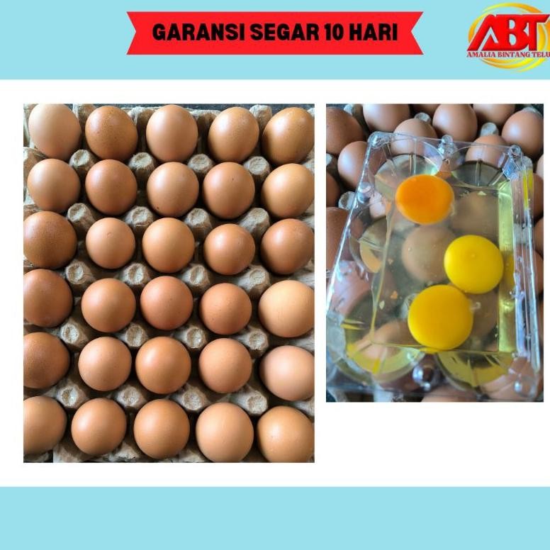 

Bisa Cod Abt - Telur Ayam Negeri 1 Tray (Isi 30 Butir, 1800-1900Gram) Sm-150