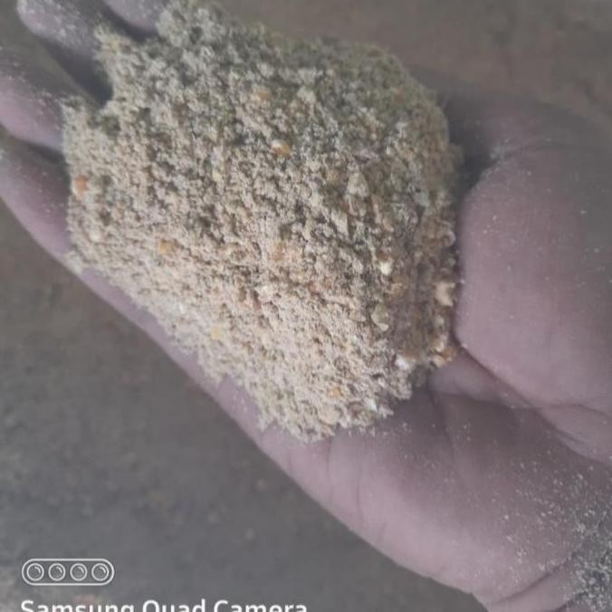 Pakan Komplit Pur ayam Petelur gold coin 105 unggas grosir [terbaik]