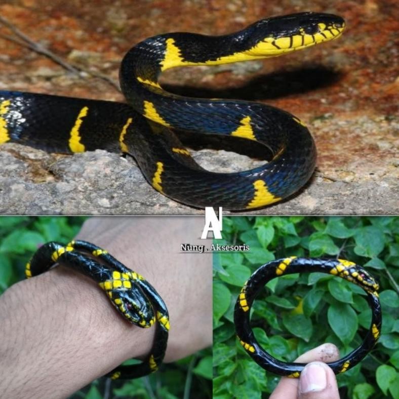 gelang akar bahar asli hitam ukir ular welling MURAH
