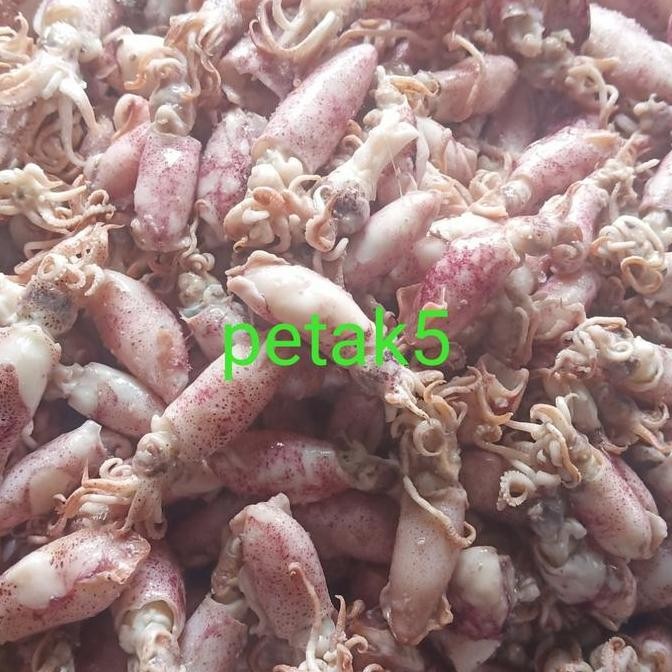 

Ikan Asin Beby Cumi 1Kg/Beby Cumi Asin/Cumi Asin Beby