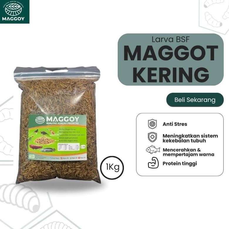 Maggot Kering 1kg maggot kering 1 kg maggot BSF magot kering pakan ikan koi chana arwana kura-kura s