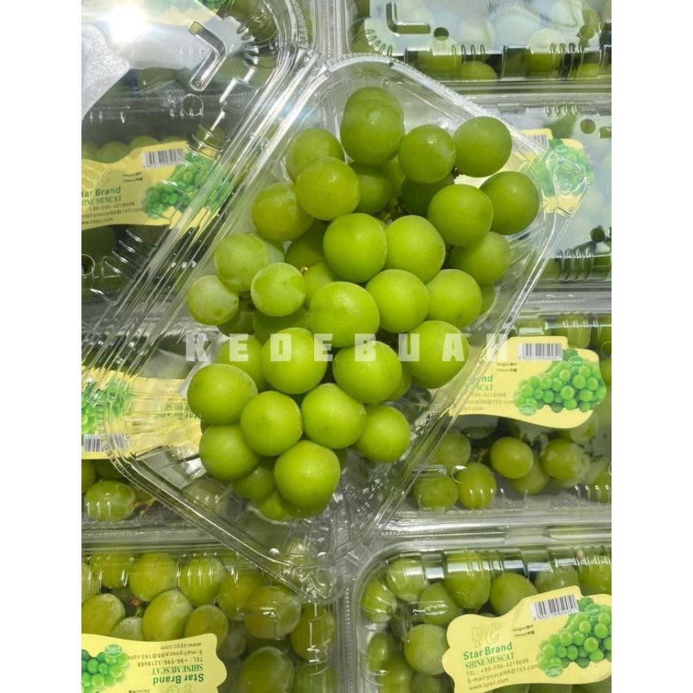 

Promo Anggur Shine Muscat Green 500 Gr -28