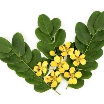

JH8 Asli Senna Leaf Annafis Superfood 125gr