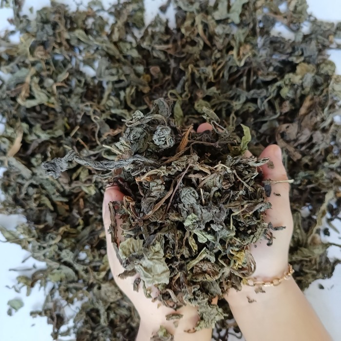 

Promo Daun Tempuyang Kering Super Packing Aman