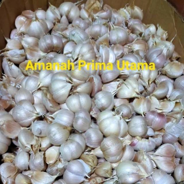 

TERLARIS BAWANG PUTIH KATING BERSIH 1 KG MURAH!!! MURAH
