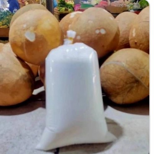 

Santan Kelapa Segar 1 Buah Best Seller