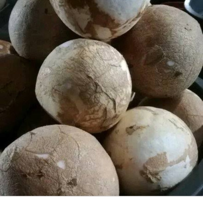 

Kelapa Parut.Santan.Buah Kelapa Best Seller