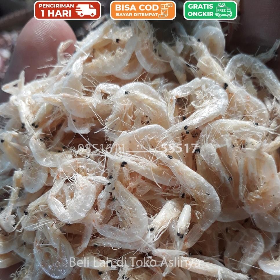 

Udang Rebon Ain Rebon Jeru Rebon Tawar 1 G Gr 250Gr Rebon Ain Aar Freh