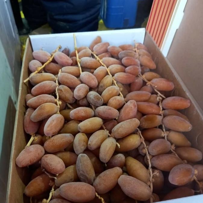 

Kurma Ruthab Alfirdaus Wahat Ennour Libya 1Kg Tangkai Rayansani376