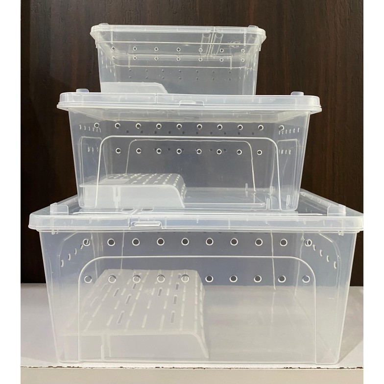 Kandang Reptil kodok ular gecko / Kandang Reptil Box