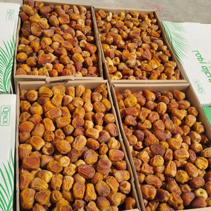 

KURMA SUKKARI ISI 3 KG