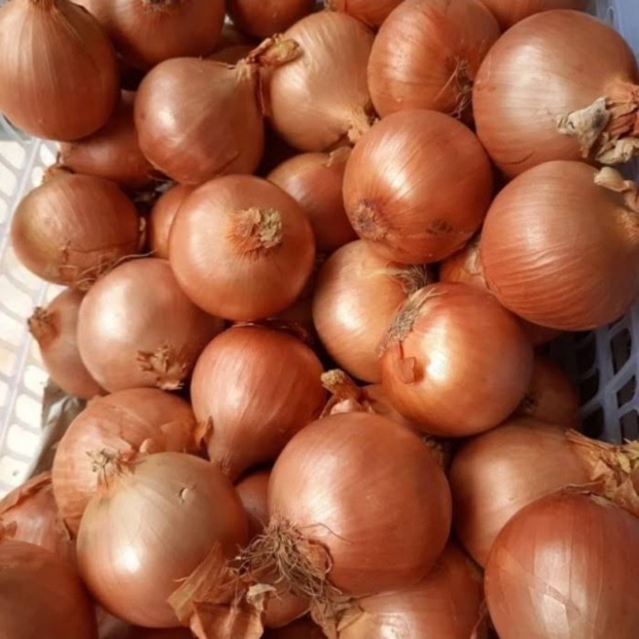 

Terbaru Bawang Bombay Murah 1Kg Best Seller