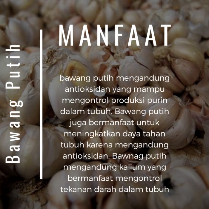 

Ready Bawang Putih Kating/ Lokal Fresh 250Gr Best Seller