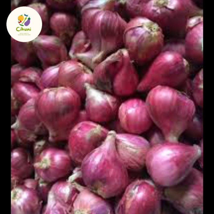 

Terbaru Bandung Gosend Bawang Merah Brebes Super Termurah 1Kg Best Seller