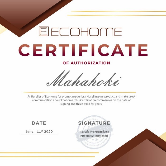 Ecohome Slow Juicer Esj-999(Rpm 40) Original Pengekstrak Buah Import