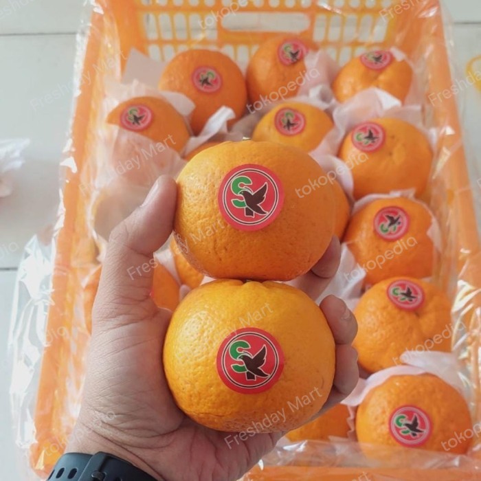 

BUAH JERUK WOKAM SUPER PREMIUM IMPORT MANIS 1 KERANJANG