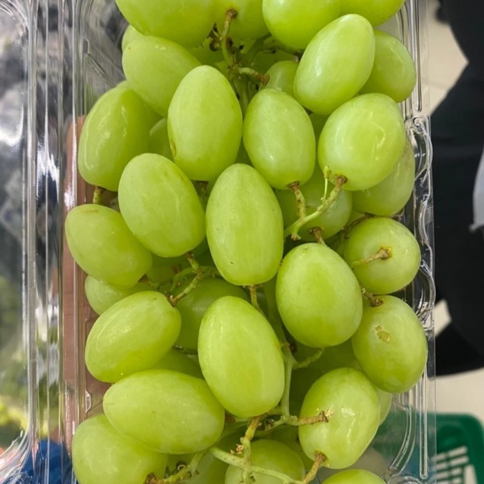 

Anggur Stella Bella Manis Cruncy 1 kg