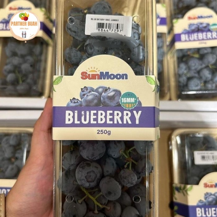 

Blueberry Jumbo Tangkai Import 250 Grm