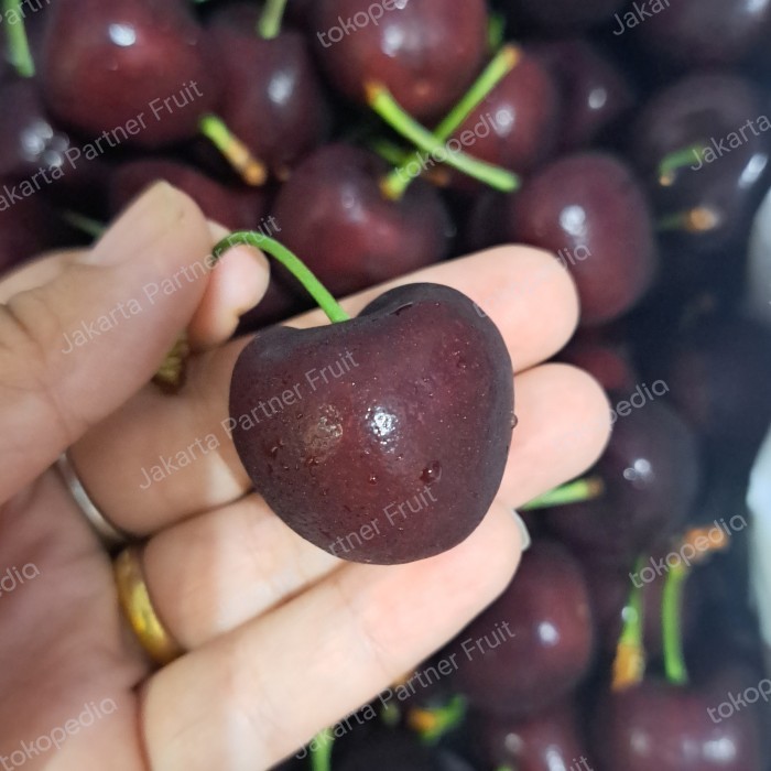 

Buah Ceri Merah Tasmanian Cherry Tasmanian 500 grm