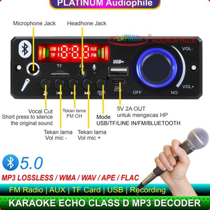 MODUL MP3 BLUETOOTH KARAOKE MICROPHONE ECHO CLASS D AMPLIFIER 160W