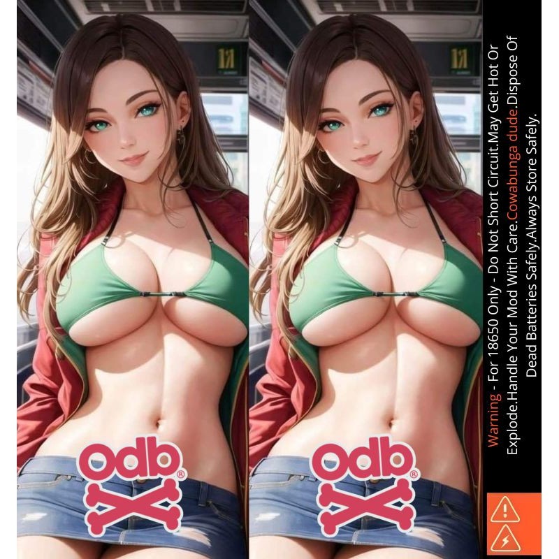 

Premium Cut - Famstore Pelindung Baterai Stiker Wrap 18650 Waifu V6 Dan Anti Gores 27 Garskin Stiker / Case Custom Terlaris 2PCS/ Fullbody