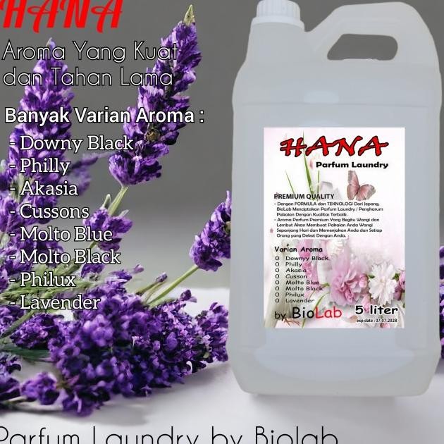 Parfum Laundry 5 Liter Pewangi Paaian