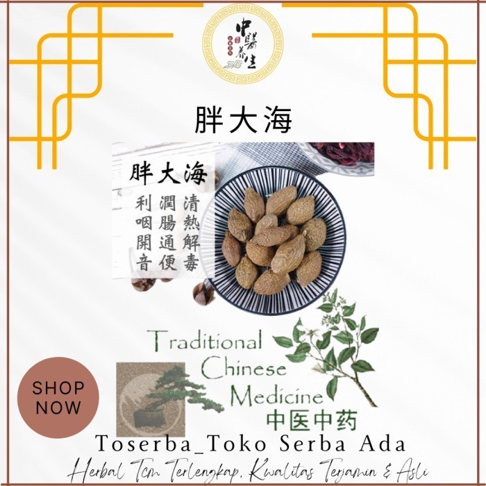 

600gr Herbal Pang Da Hai Malva Mulva Nut Antehai Antehay