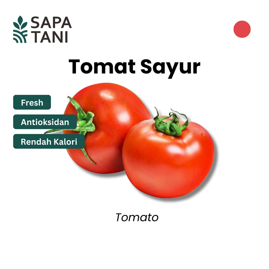 

Tomat Sayur 250 Gr Sapatani