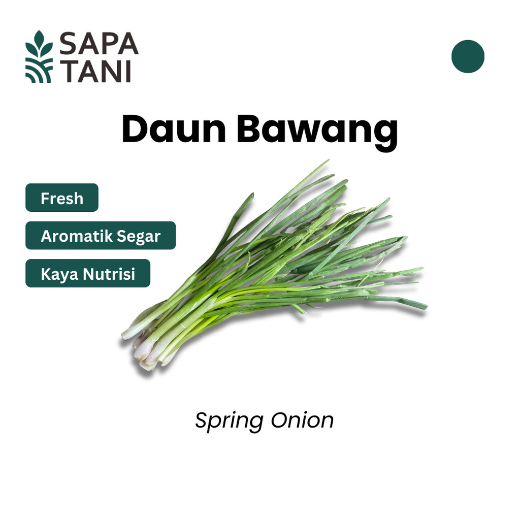 

Daun Bawang Segar 100 gr Sapatani Sayuran Segar untuk Masakan dan Garnish