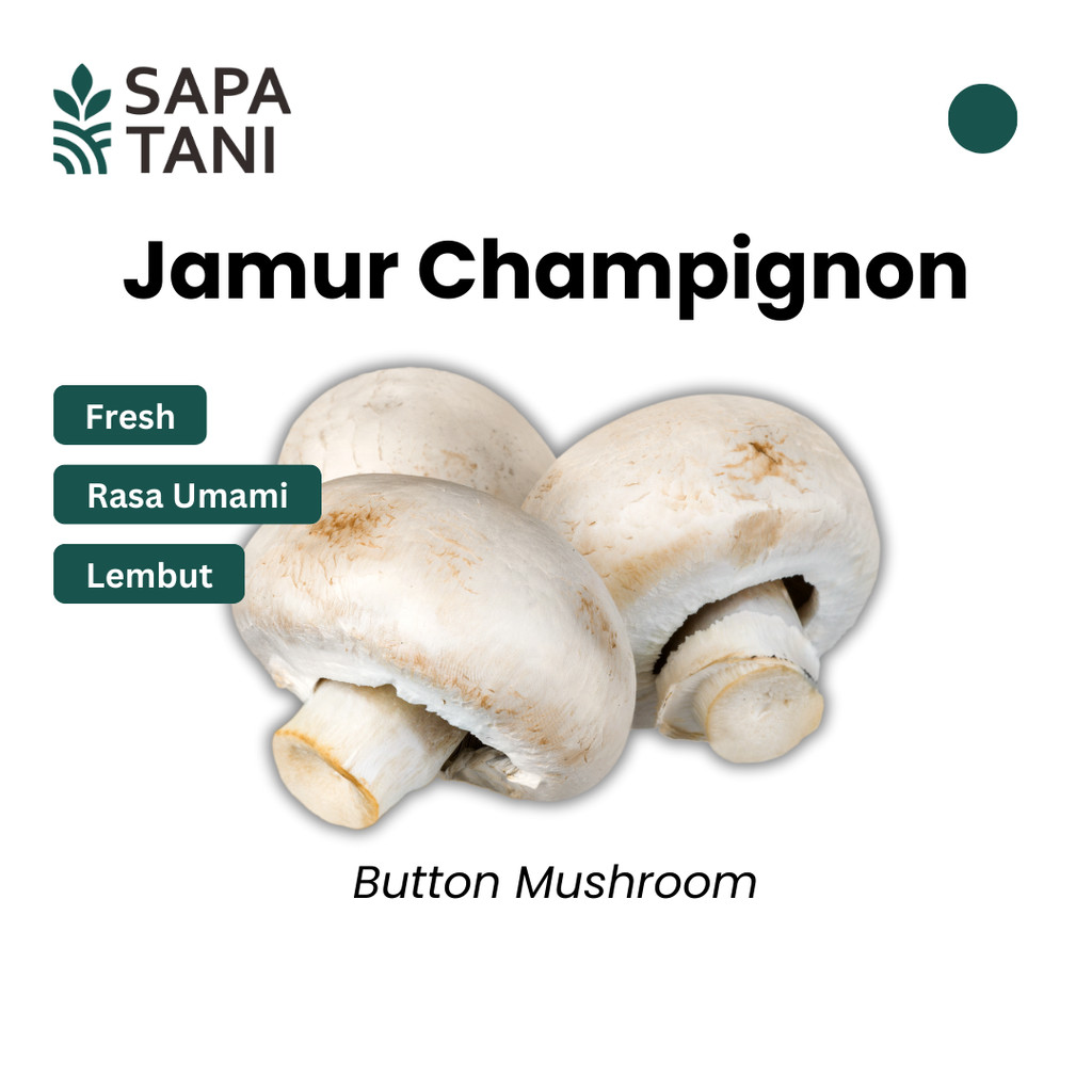 

Jamur Champignon Segar 200 gr Sapatani Jamur Premium untuk Tumisan dan Pizza