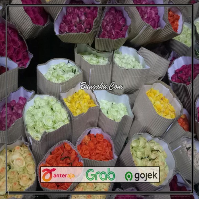 TERBARU bunga mawar semi holland / bunga mawar bandung