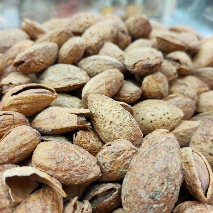 

kacang almond roasted milk 500gr Berkualitas