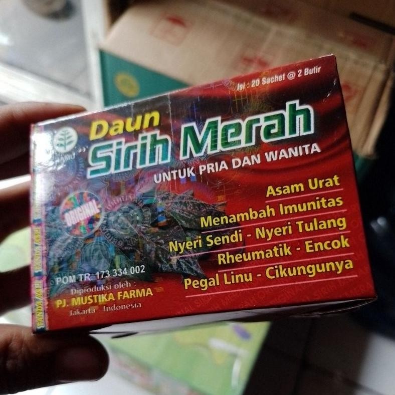 

Ready Daun Sirih Merah