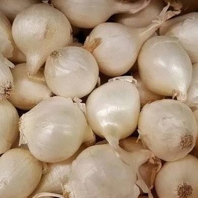 

BAWANG TUNGGAL BERKUALITAS - 250 GRAM ORIGINAL