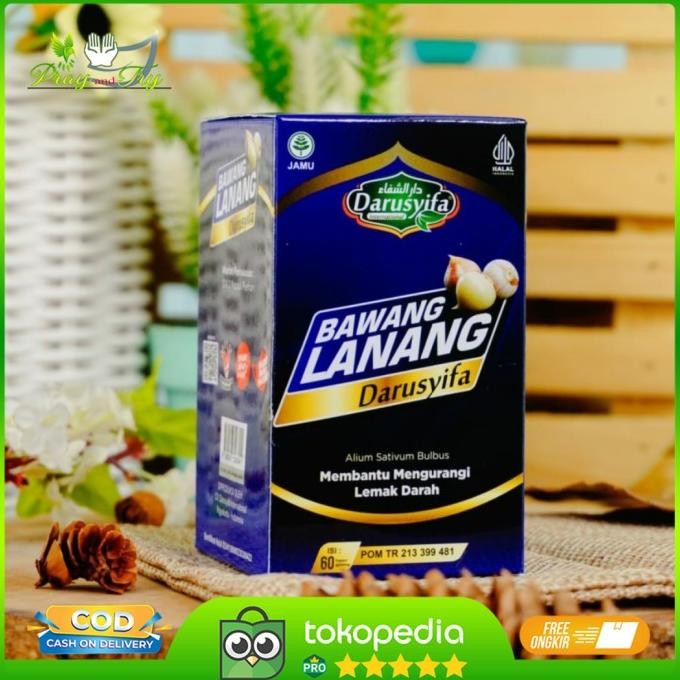 

KAPSUL PENURUN LEMAK DARAH/ KOLESTEROL EXTRAK BAWANG LANANG DARUSYIFA ORIGINAL