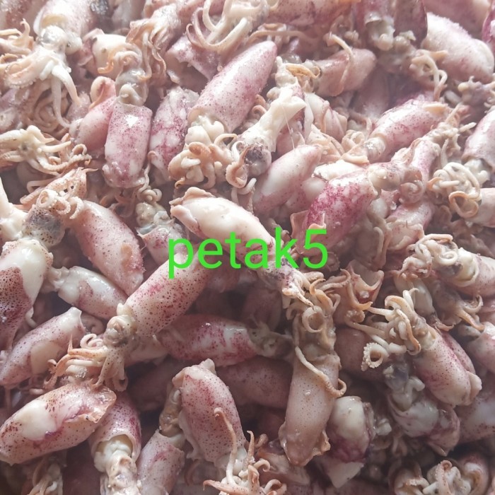 

Ikan asin beby cumi 1kg/beby cumi asin/cumi asin beby