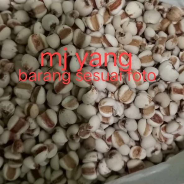 

Barley Super / Biji jali jali 600gram