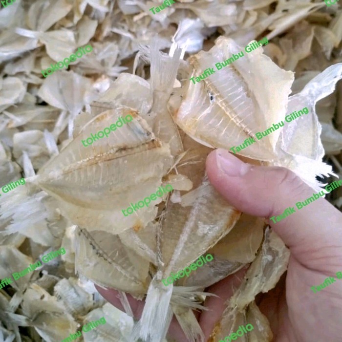 

ikan asin kapasan 250gram / 500gram/ 1kg