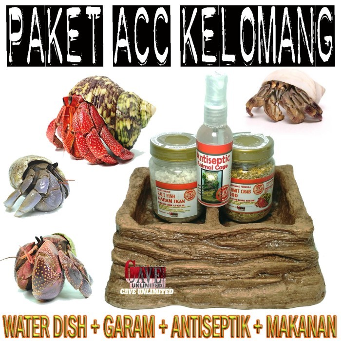 

BEST PAKET PERLENGKAPAN KELOMANG KEONG UMANG UMANG POMPONGAN MURAH MERIAH