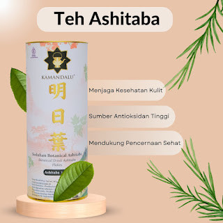 

Teh Kesehatan Ashitaba - Menenangkan Pikiran dan Menyembuhkan Tubuh