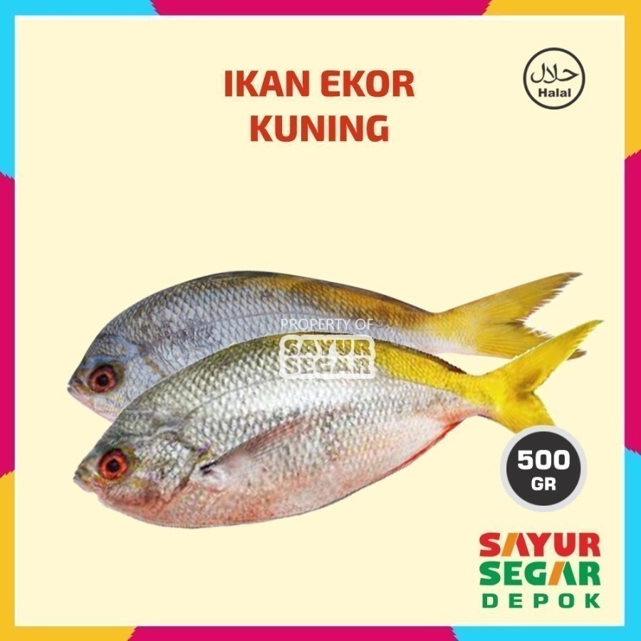 

Ikan Ekor Kuning 500g Fresh Halal