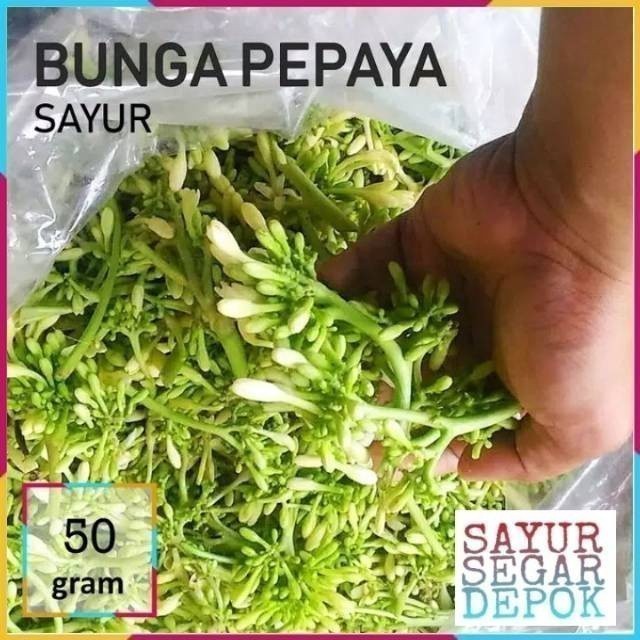 

Bunga pepaya / kembang pepaya