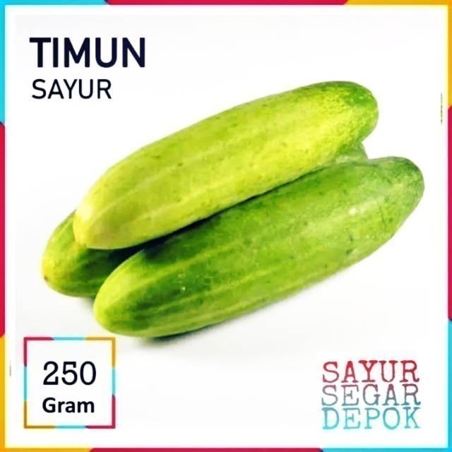 

TIMUN SAYUR 500 GRAM / SAYUR SEGAR DEPOK