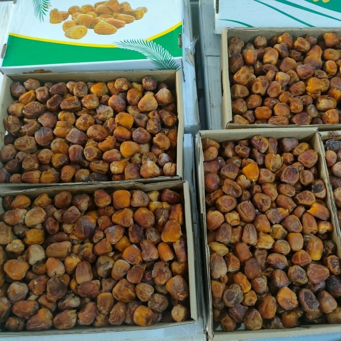 

Kurma-Kurma Sukari 3 Kg Premium-Kurma Sukari Al Qassim Original-Sukari