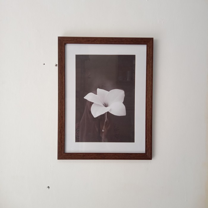 PIGURA FRAME FOTO 12R 30x40 WARNA SERAT KAYU COKLAT